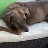 babsbargains7